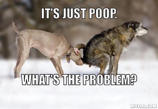 pooping-dog-meme-generator-it-s-just-poop-what-s-the-problem-00be79